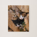 Recherche de câlin puzzles Chaton