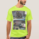 Recherche de society tshirts Chat