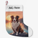 Recherche de border collie chaussette de noël Chiens