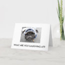 Recherche de pugs cartes postales Friend