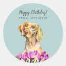 Zoek naar vizsla stickers Schattig
