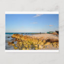 Zoek naar van de keerkringen briefkaarten Eiland