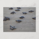 Recherche de america cartes postales Ie