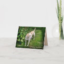 Recherche de loyal vœux cartes Animal