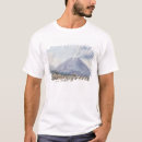 Zoek naar fabris tshirts Italië