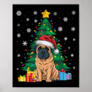 Recherche de mastiff anglais posters Drôle