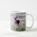 Recherche de queue tasses Pour lui