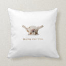 Recherche de français bouledogue coussins Animaux familiers