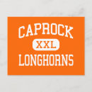 Recherche de longhorn du texas cartes postales Longhorns