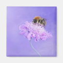 Recherche de collecte magnets Abeille