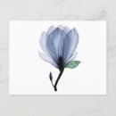 Recherche de magnolia cartes postales Moderne