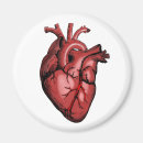 Recherche de chirurgiens magnets Santé