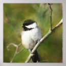 Recherche de cerfs volants posters Pour tous