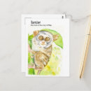 Recherche de tarsier Illustration