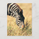 Recherche de tête animale cartes postales Vertical