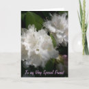 Zoek naar relatie kaarten Vriend