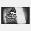 Recherche de antenne autocollants Papillon