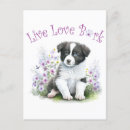 Zoek naar border collie briefkaarten Puppy