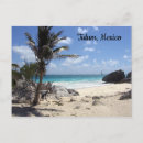 Recherche de plage palmier cartes postales Soleil