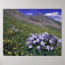 Recherche de paysage alpin posters Coloré