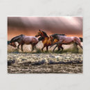 Recherche de peintures de cheval cartes postales Animal