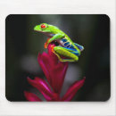 Recherche de tom tapis souris Grenouille