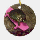 Zoek naar grappige schildpadden ornamenten Kerstmis