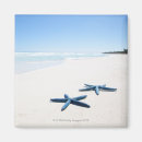 Recherche de deux animaux magnets Nature