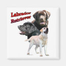 Zoek naar zwarte labrador retriever hond magneten Laboratorium