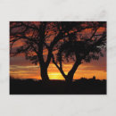 Recherche de ciel orange cartes postales Coucher du soleil