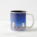 Recherche de habitat tasses Antarctique