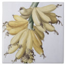 Recherche de banane carreaux Fruit