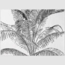 Zoek naar palm tree tissue papier Zomer