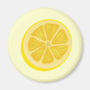 Recherche de casse croûte magnets Fruit