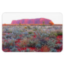 Recherche de uluru magnete Territoire du nord