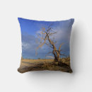 Recherche de acacia coussins Image en couleur