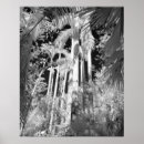 Recherche de palmier noir et blanc posters Connie bransilver