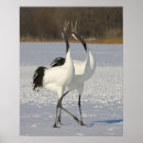 Recherche de grues japonaises posters Faune