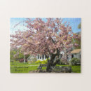Recherche de cerisier puzzles Nature