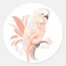 Recherche de cacatoès autocollants Oiseaux