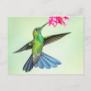 Recherche de couronne fleurie cartes postales Colibri