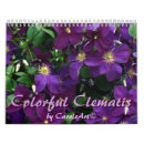 Recherche de clématite pourpre Jardin