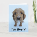 Recherche de chiot vœux cartes Désolé