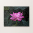 Recherche de fleur lotus de puzzles Floral