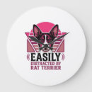 Recherche de rat horloges Chien