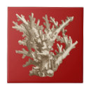 Recherche de corail carreaux Récif de corail