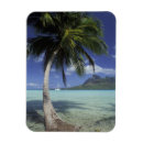 Recherche de polynésie magnets Plage