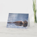 Recherche de fonction vœux cartes Animal