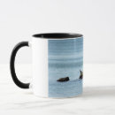 Recherche de oiseaux marins tasses Mer