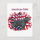 Recherche de labrador retriever noir cartes postales Extracteur